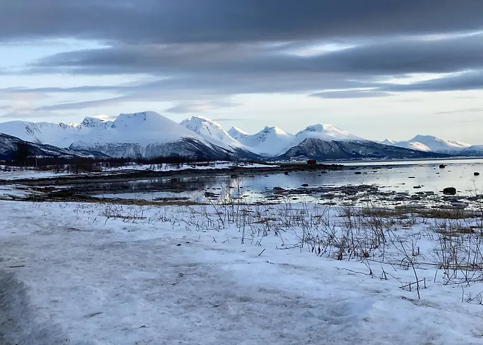 Drengstua